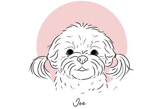 draw awesome pet portrait dog, cat, or any pet in line art style