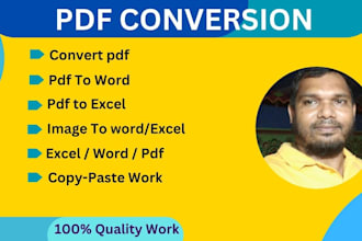 do convert pdf to word or excel for pdf conversion and typing job