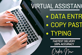 do efficient data entry and fast typing services