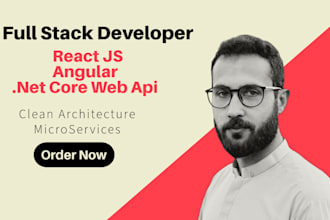 develop angular react and asp net core web applications