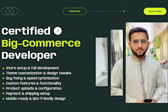 design, develop, customize and fix bugs in bigcommerce store