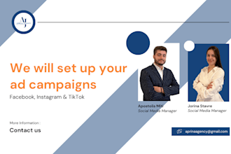 create and manage ad campaigns on your platforms