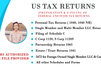 prepare and e file US tax returns for individual and business 1040, 1120, 1065