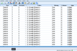 do data analysis and report of surveys fast