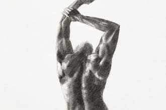 create realistic human figure and anatomy pencil drawings