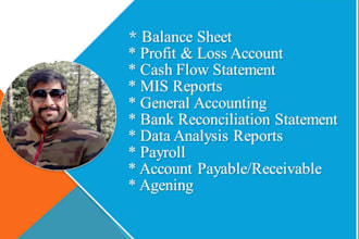 do prepare balance sheet, pnl, data reports, mis report, data analytics reports