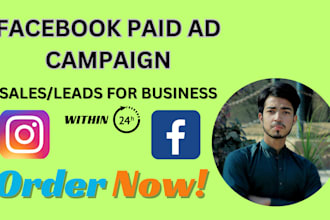 do paid ads campaign and manage fb ads account