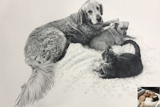 draw pet portrait sketch from photo hand drawn dog cat horse pencil drawing