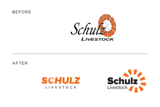 do a professional rebranding redesign of your logo