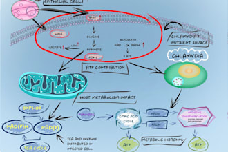 design scientific figure and graphical abstract