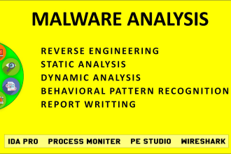 analyze the malware samples using static and dynamic analysis