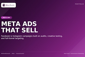 full meta ads audit