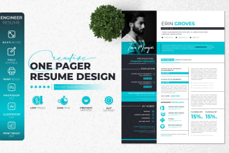 make professional resume design, banking resume and linkedin resume design, cv