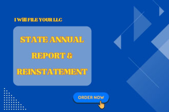 do US llc annual report and reinstatement