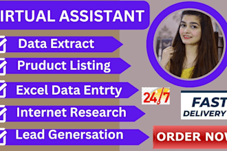 do all kind of data entry administration work and will be your virtual assistant