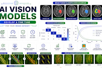 develop and fine tune ai vision models for your image dataset