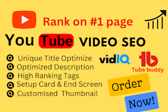be your youtube SEO expert, optimize your videos using vidiq