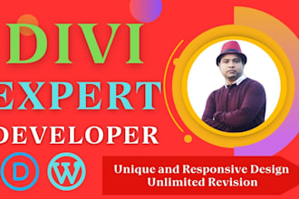 build or rebuild wordpress divi website design using divi theme, divi builder