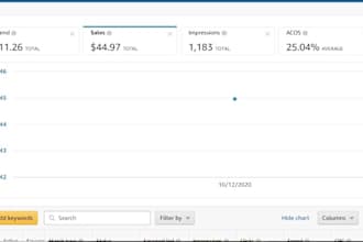setup, optimize, manage amazon ppc campaigns  to rank product