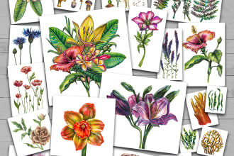 draw a botanical illustration for you