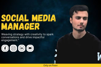 be your digital marketing manager and social media manager