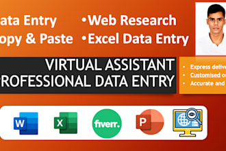 do data entry, web research, excel data entry, and pdf to excel