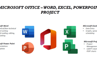 work on ms word, excel, powerpoint, project