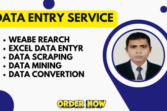 excel data entry 24 hours