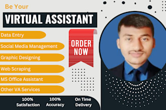 your VA for web scraping, web research, copywriting, file conversion, retyping