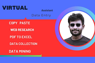 precision data entry expert for accurate and swift results