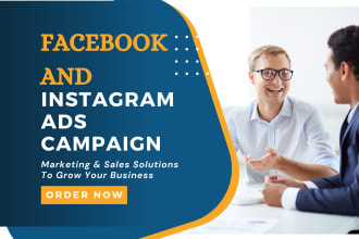 expert facebook ads coach and run a fb and instagram ads campaign