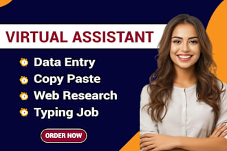 be your virtual assistant for data entry, copy paste, and web research