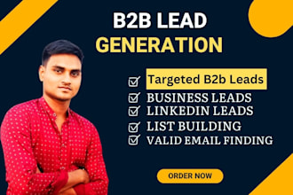 provide targeted b2b lead generation