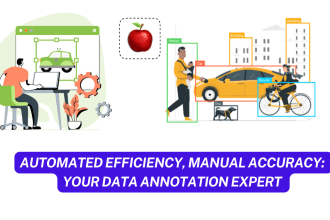 data annotation, image segmentation, bounding box, and labeling data