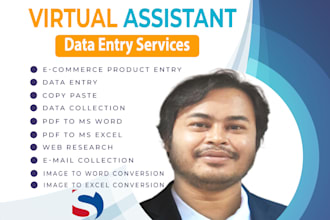 do data entry, jpeg to word, copy paste, excel data entry, pdf to excel, word