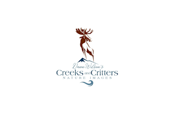 design splendid sophisticated art gallery logo