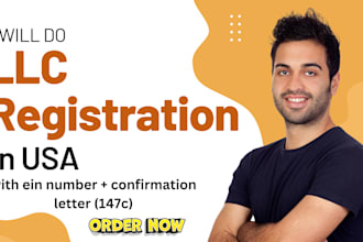 prepare and file USA tax returns for individual llc