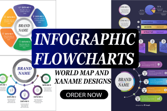 do professional high quality business infographic, flowcharts and roadmap design