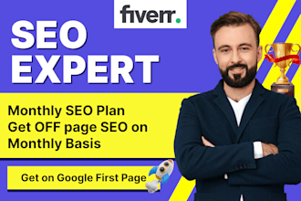 provide monthly off page SEO service with white hat do follow backlinks