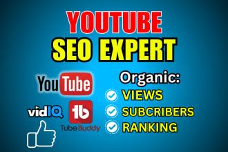 do youtube video SEO for top ranking