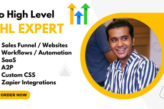 do expert gohighlevel sales funnel, website, go high level workflow, snapshot