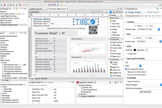 modify or develop custom jasper reports for your application or business needs