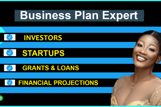 write investors business plan with 5 years financial plan for loans, grants