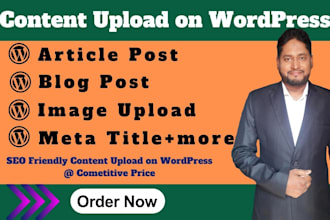 upload SEO friendly  content and blog posts on wordpress