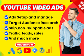 setup and manage youtube video ads campaign