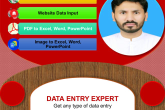 provide professional and swift data entry services with 100 percent accuracy