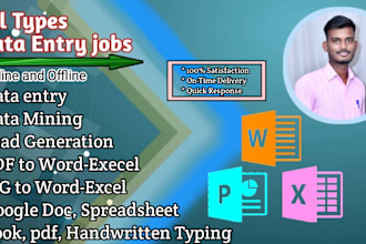 do microsoft excel word  and power point projects within 24 hours