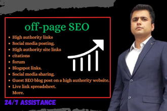 provide monthly off page SEO services
