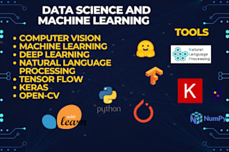 do deep learning, neural network and transformer projects