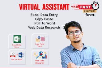 do excel  data entry copy paste  pdf to word web data research